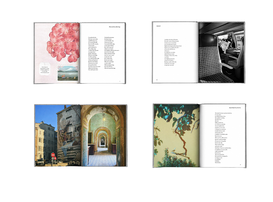 Four spreads from My Body of Tides shown in a grid