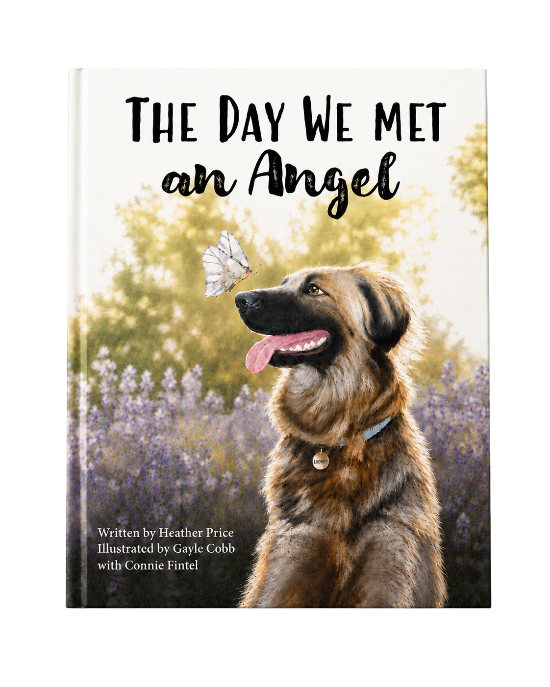 Price book cover designed by Finnerty Design