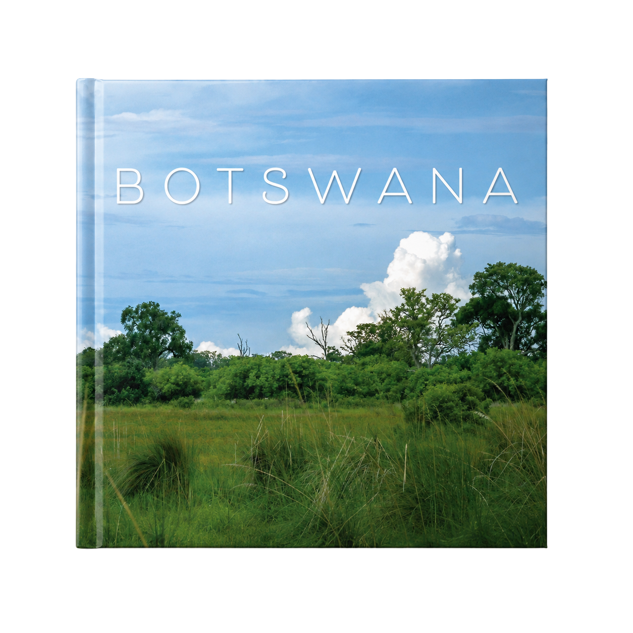 Botswana book cover designed by Finnerty Design
