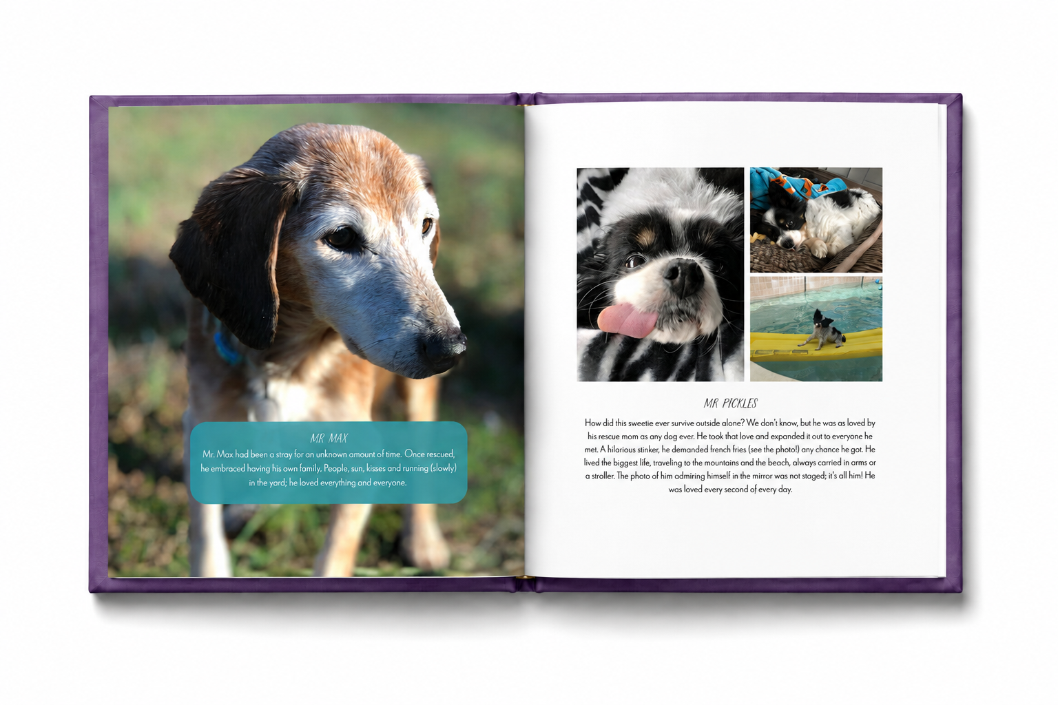 Open album spread with a rescue dog portrait and story text