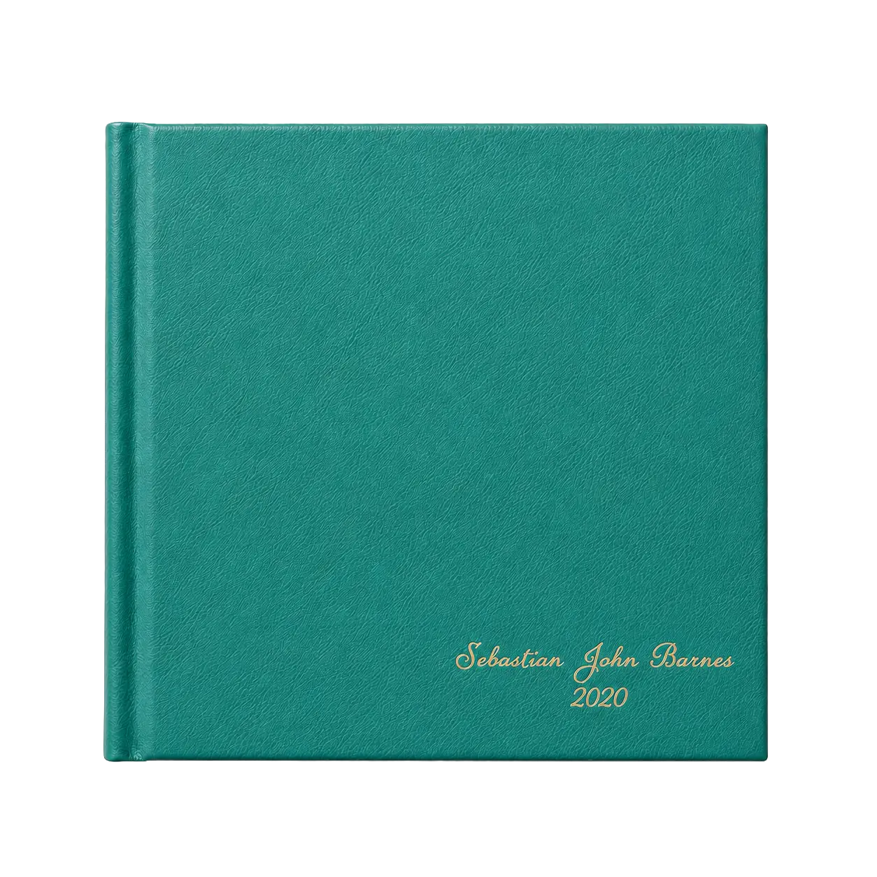 Fisch book cover designed by Finnerty Design